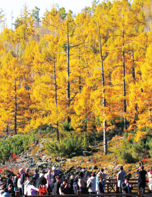 QQ截图20230605104336.png QQ截图20230605104336.png