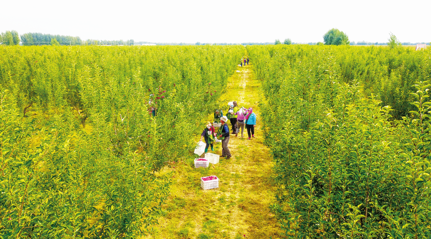 截图20230918105207.png 截图20230918105207.png