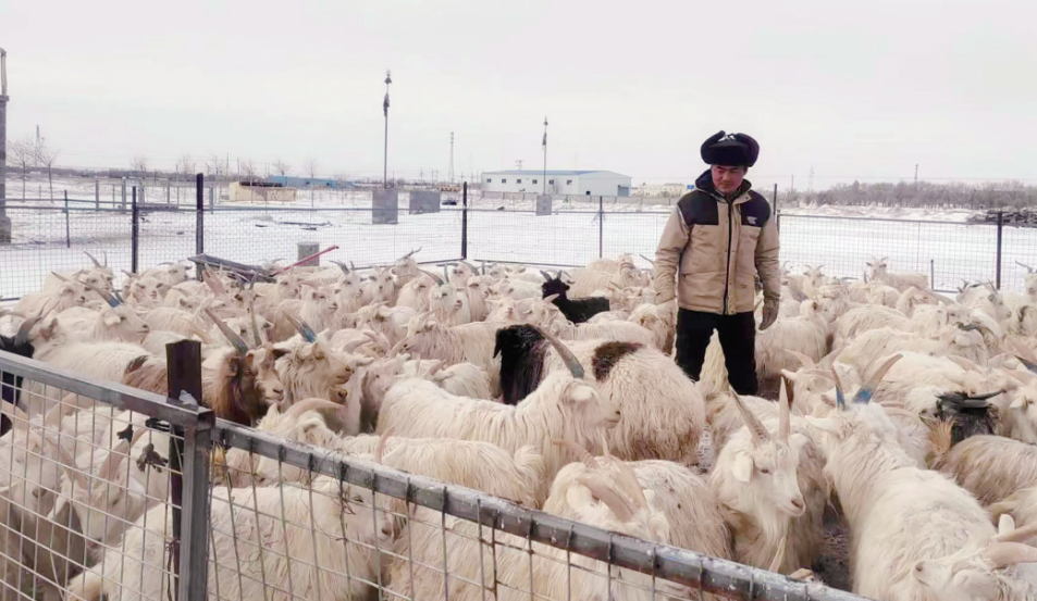 截图20240308105340.png 截图20240308105340.png