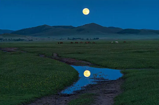 截图20240527110110.png 截图20240527110110.png