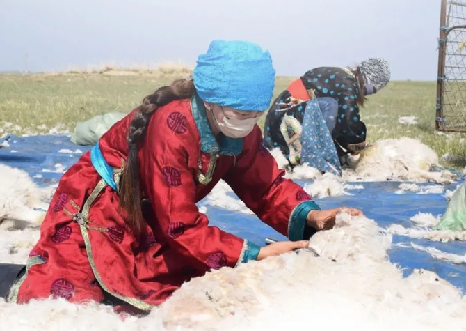 截图20240819112526.png 截图20240819112526.png