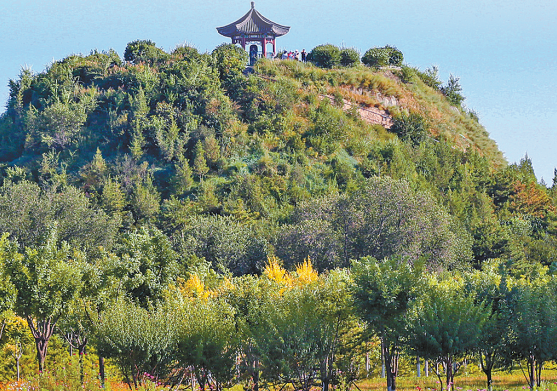 QQ20250716-113632.png QQ20250716-113632.png