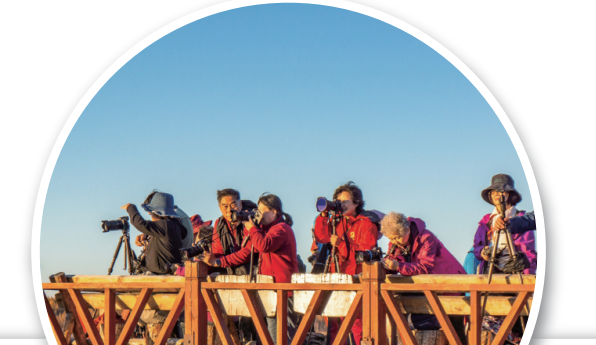 QQ20251016-102452.png QQ20251016-102452.png