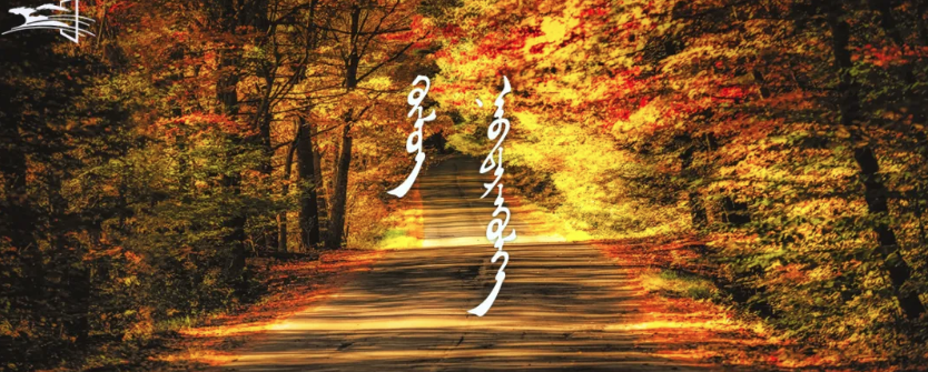 QQ20251023-111352.png