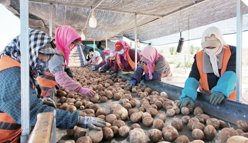 QQ20251024-165601.png QQ20251024-165601.png