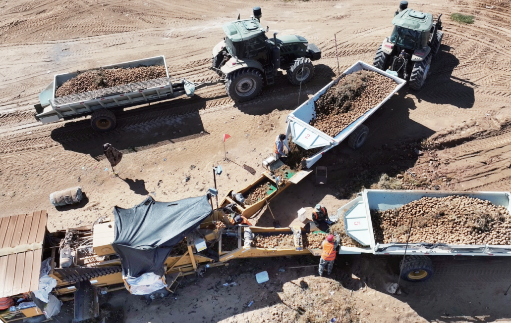 QQ20251024-165610.png QQ20251024-165610.png