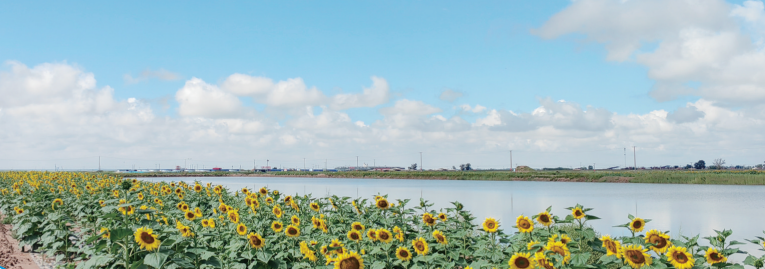 QQ20251031-115259.png QQ20251031-115259.png