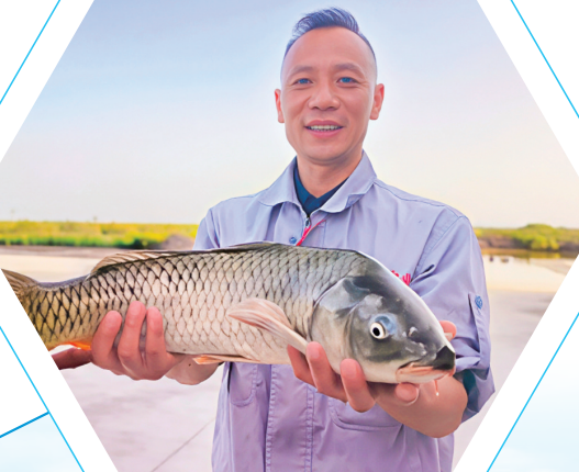 QQ20251031-115320.png QQ20251031-115320.png