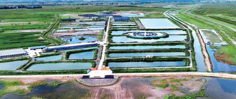 QQ20251031-115331.png QQ20251031-115331.png