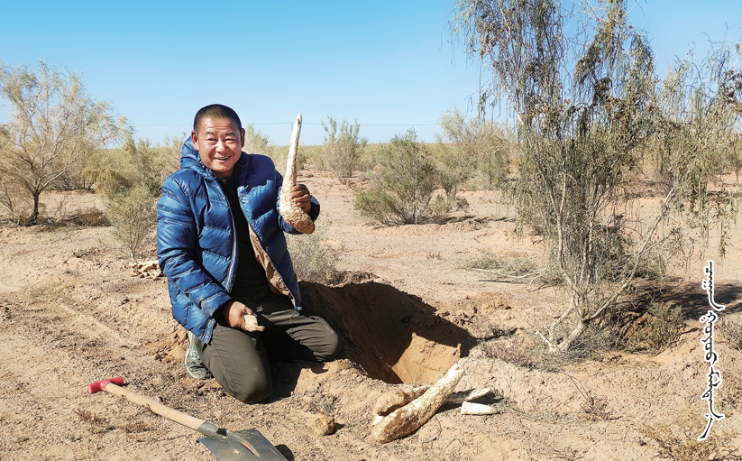 QQ截图20250825102238.png QQ截图20250825102238.png