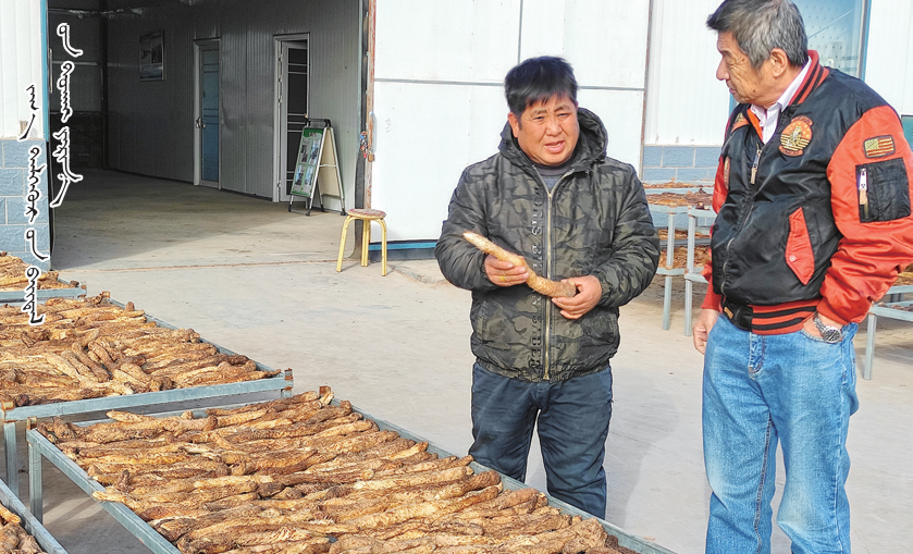 QQ截图20251001113555.png QQ截图20251001113555.png