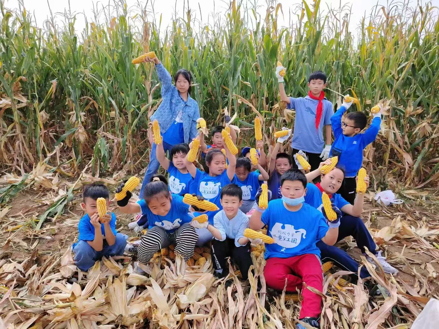 5759877_baix_1762857707502.jpg 5759877_baix_1762857707502.jpg