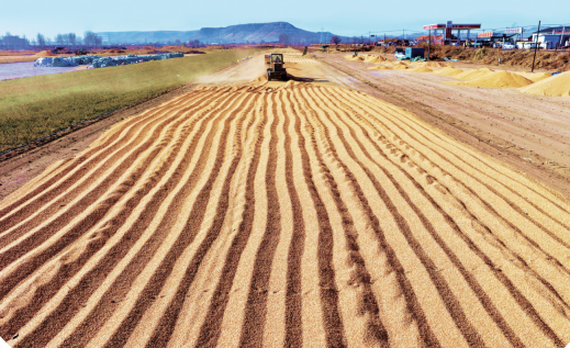 QQ20251121-103935.png QQ20251121-103935.png