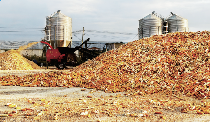 QQ20251121-164311.png QQ20251121-164311.png