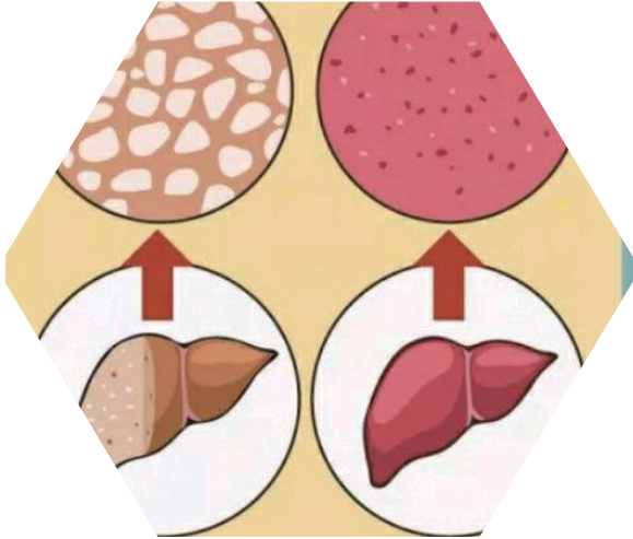 0c90b65f-11ec-43dc-877a-a6298aeb18c0.png 0c90b65f-11ec-43dc-877a-a6298aeb18c0.png