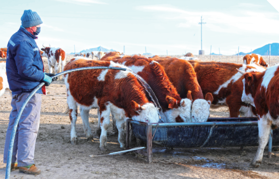 QQ20251128-104716.png QQ20251128-104716.png