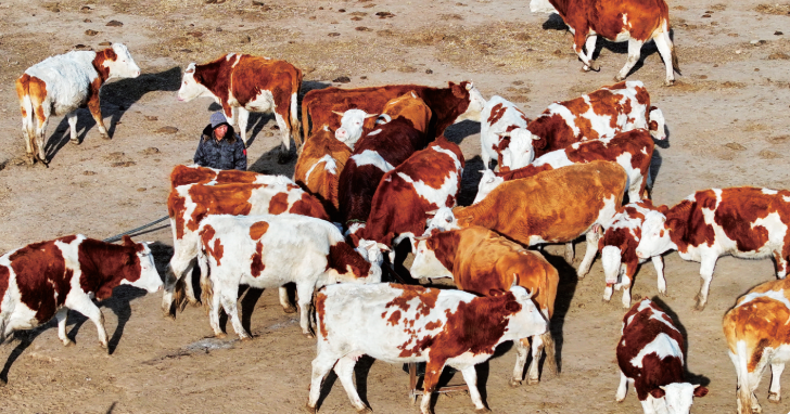 QQ20251128-104741.png QQ20251128-104741.png