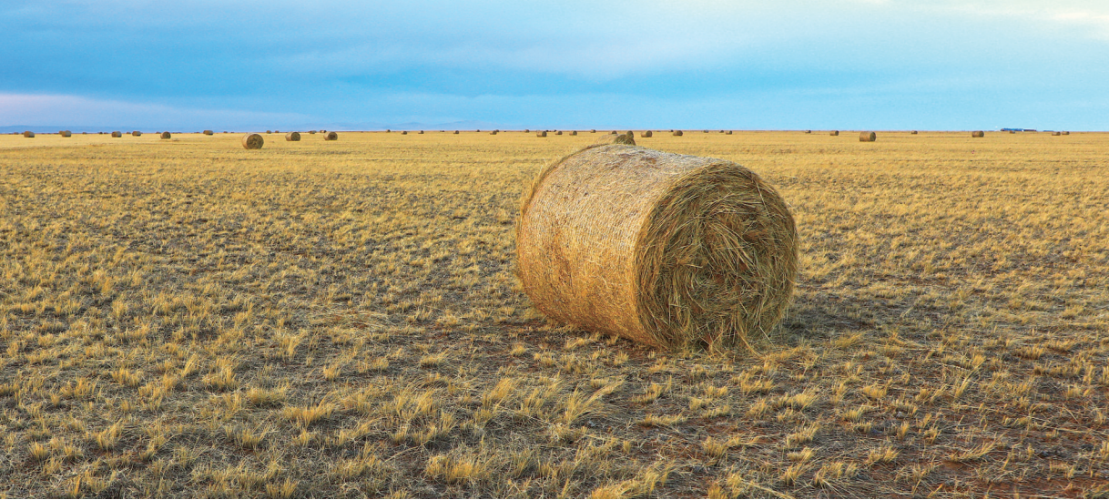 e3cede9b-be13-4850-a903-22056b1ba134.png e3cede9b-be13-4850-a903-22056b1ba134.png