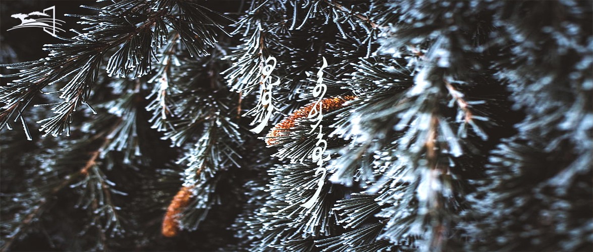 新 语音播报 封面.jpg 新 语音播报 封面.jpg