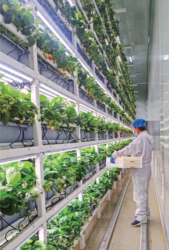 9836fa0c-a3f1-4149-b5e9-1d863b2016ce.png 9836fa0c-a3f1-4149-b5e9-1d863b2016ce.png