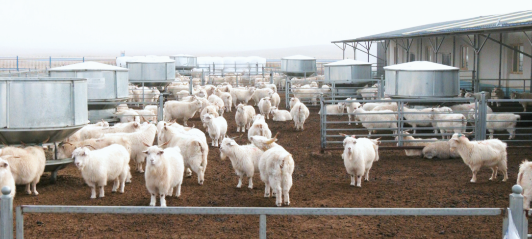 QQ20251207-110329.png QQ20251207-110329.png