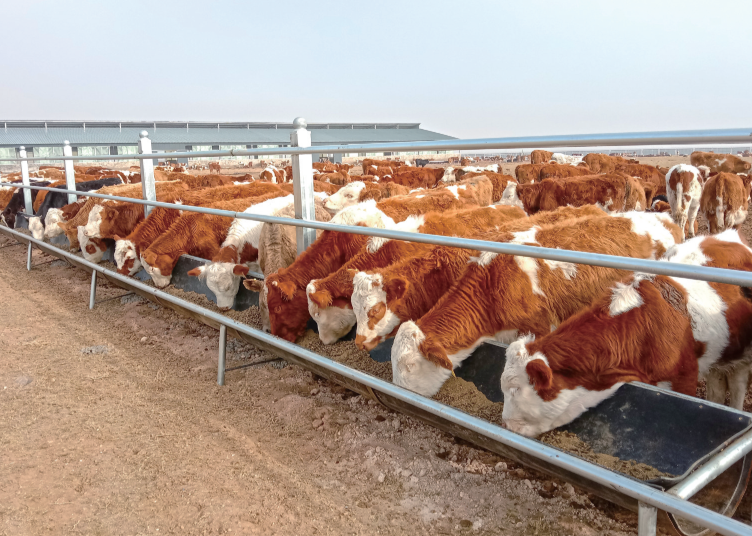 QQ20251207-110342.png QQ20251207-110342.png