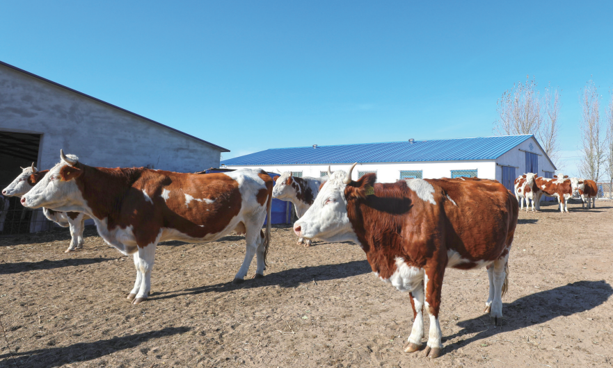 QQ20251208-100020.png QQ20251208-100020.png