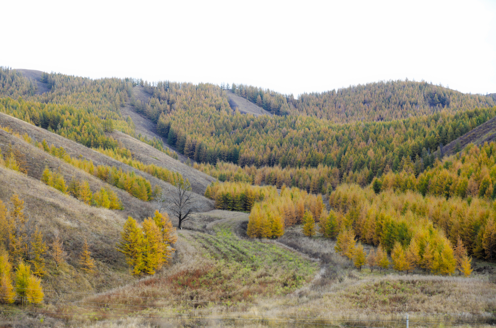 QQ截图20251117161443.png QQ截图20251117161443.png