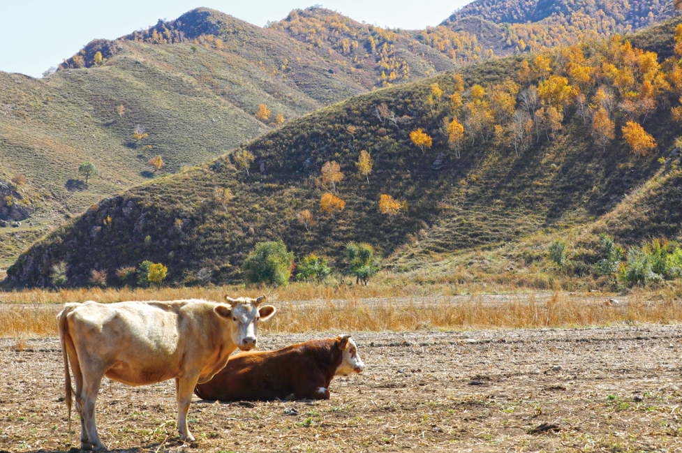 QQ截图20251001104448.png QQ截图20251001104448.png