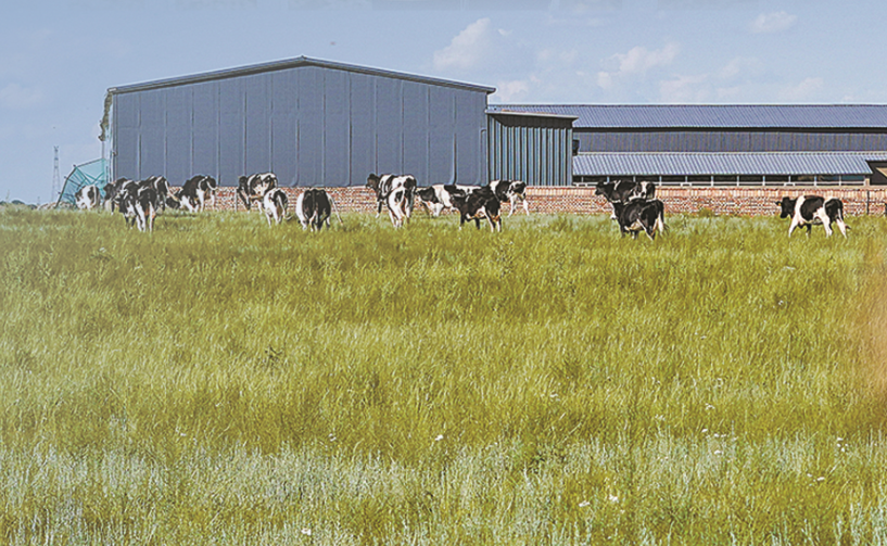 QQ截图20251001104448.png QQ截图20251001104448.png