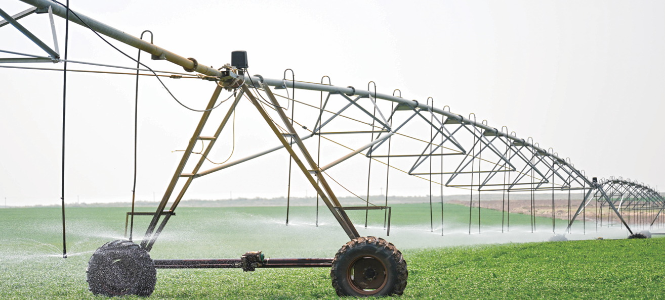 QQ截图20250825102238.png QQ截图20250825102238.png