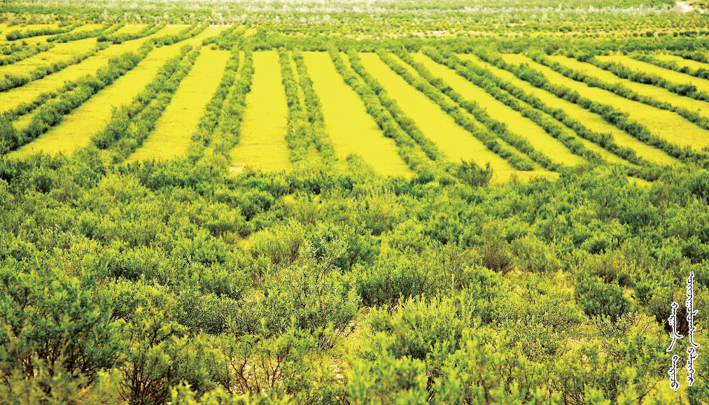 QQ截图20251117161443.png QQ截图20251117161443.png