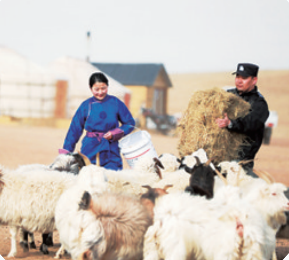 703cc9ca-3822-4b61-a438-6b336e8b8232.png 703cc9ca-3822-4b61-a438-6b336e8b8232.png