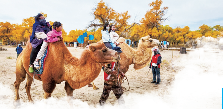 QQ20260116-102253.png QQ20260116-102253.png