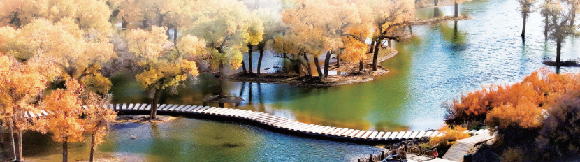 QQ20260116-102304.png QQ20260116-102304.png