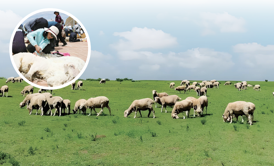 QQ20260123-113830.png QQ20260123-113830.png