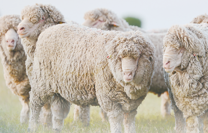 QQ20260123-113848.png QQ20260123-113848.png