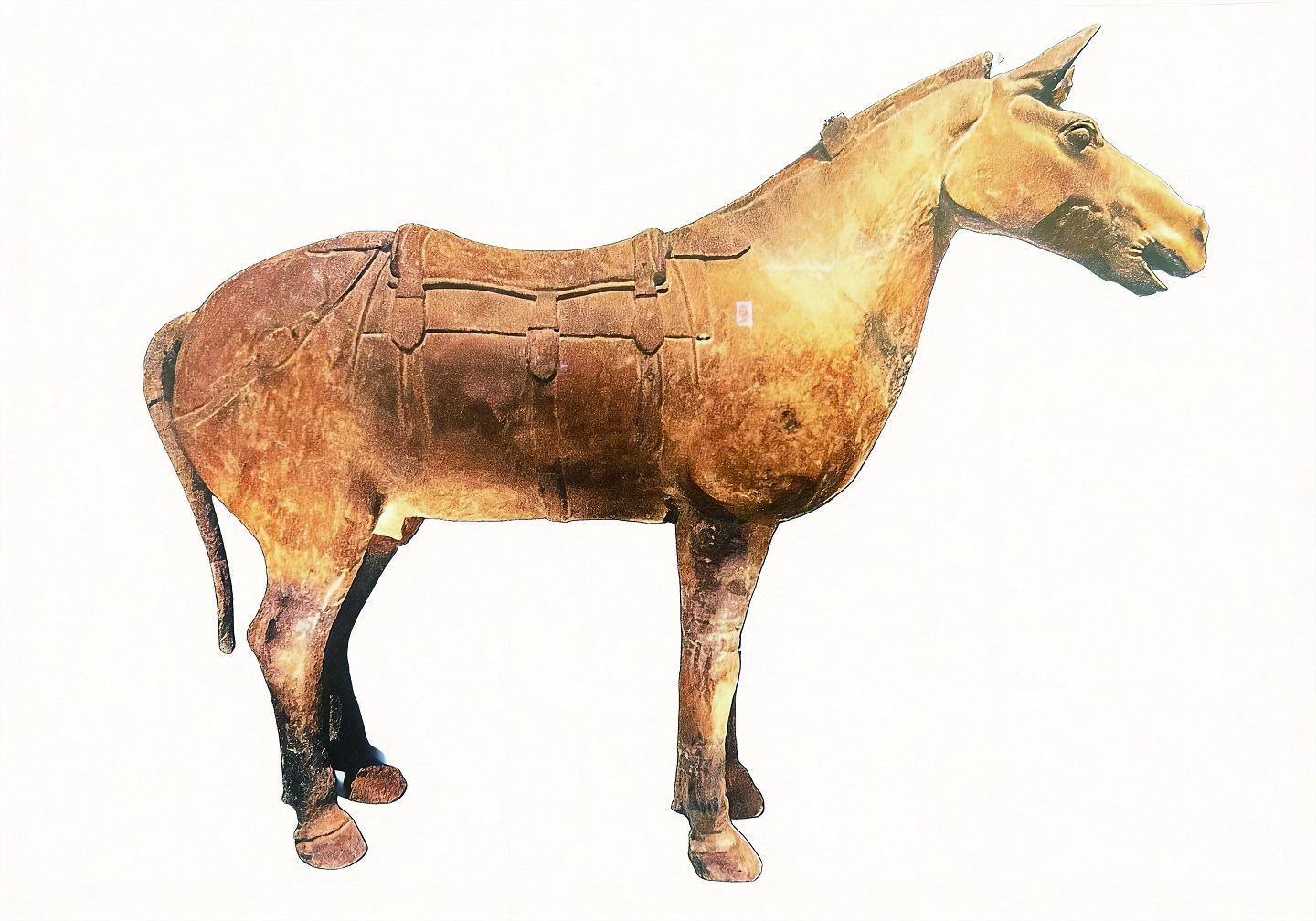 jimeng-2026-01-21-9271.jpg jimeng-2026-01-21-9271.jpg