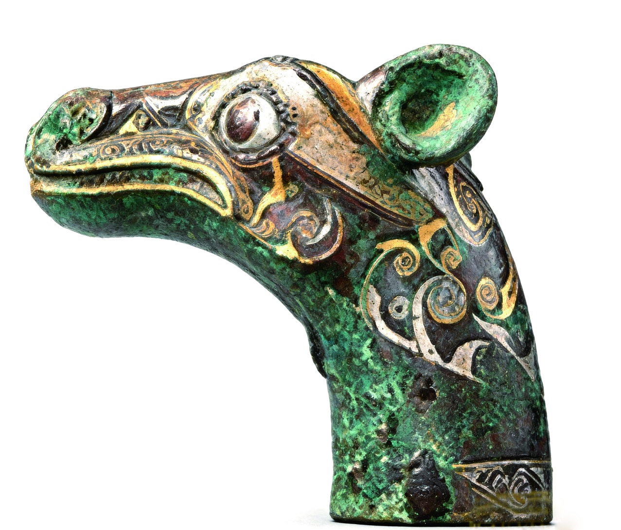 jimeng-2026-01-21-7641.jpg jimeng-2026-01-21-7641.jpg