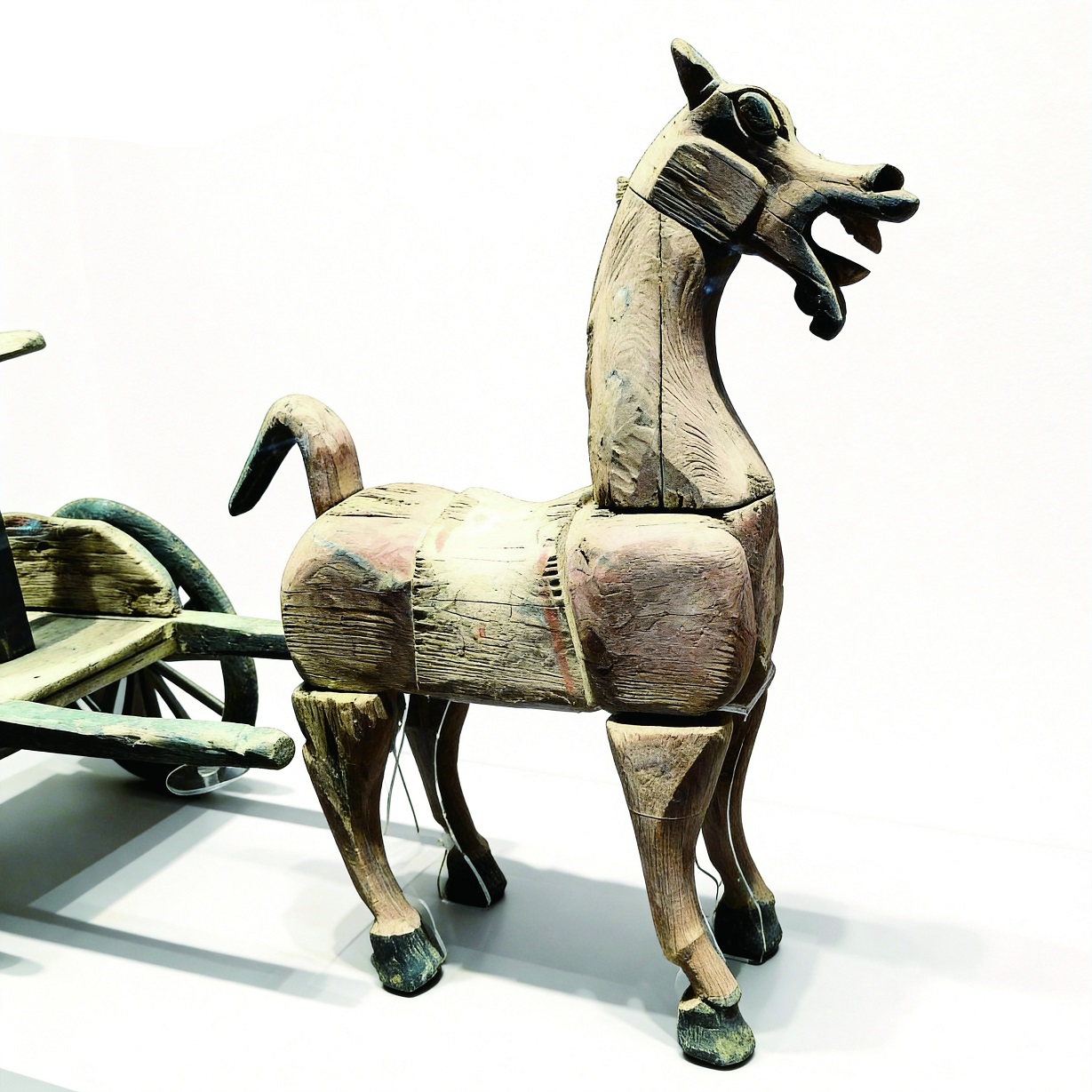 jimeng-2026-01-21-9110.jpg jimeng-2026-01-21-9110.jpg