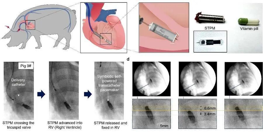 640 (4).jpg 640 (4).jpg