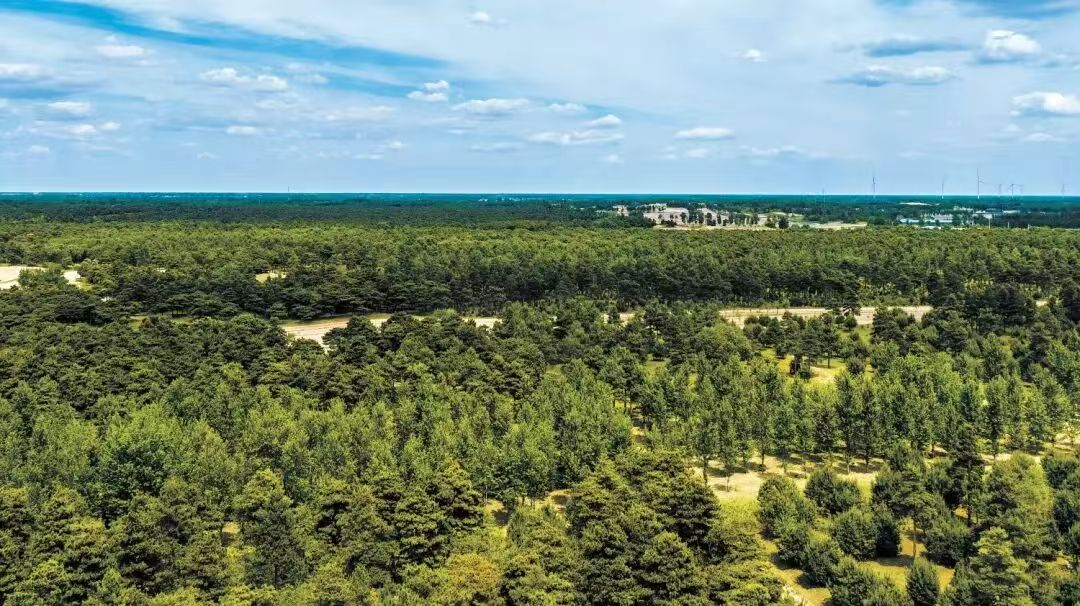 6eebfa7dfec7c684744bf5493b74b3c6.jpg 6eebfa7dfec7c684744bf5493b74b3c6.jpg