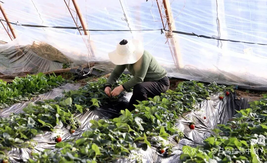 640 (2).jpg 640 (2).jpg