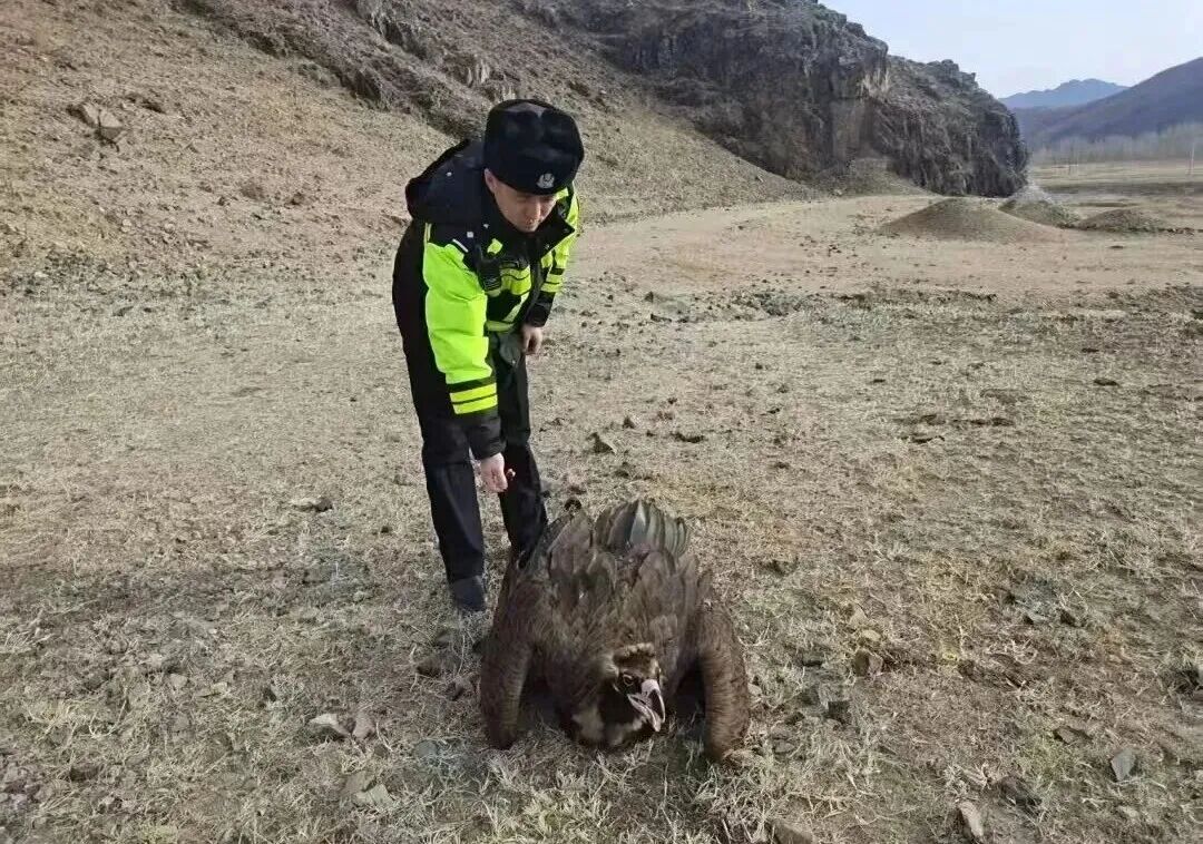 640 (1).jpg 640 (1).jpg