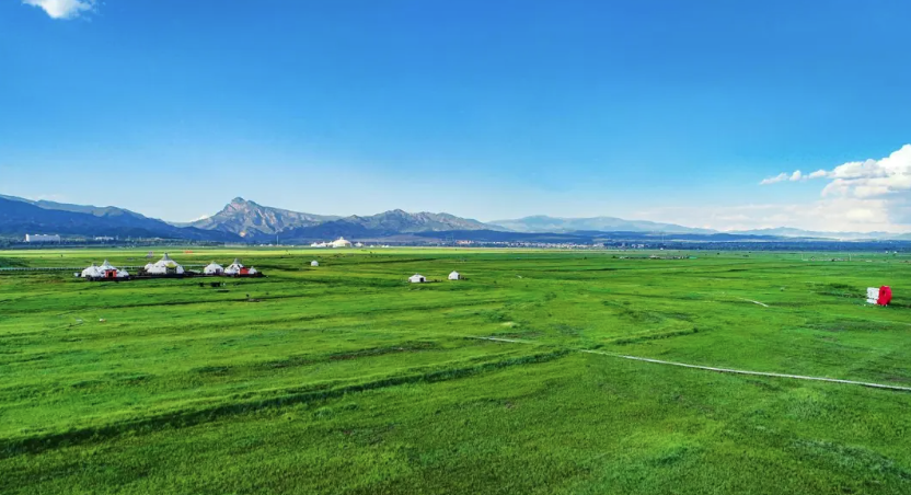 QQ20260128-105935.png QQ20260128-105935.png