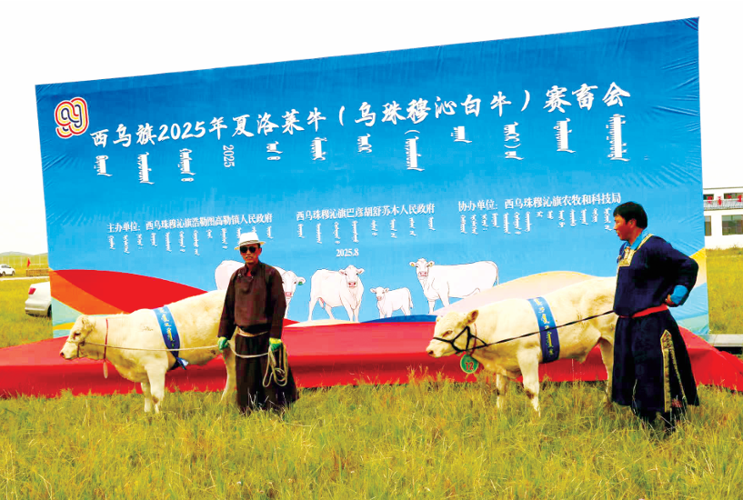 QQ截图20260126170047.png QQ截图20260126170047.png