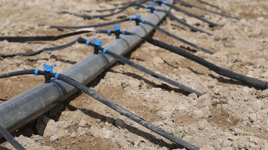 B0A816718B9DFAF6344DF590D45AF3A1.jpeg B0A816718B9DFAF6344DF590D45AF3A1.jpeg