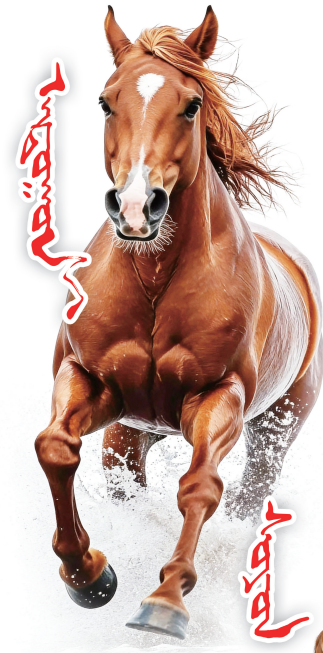 QQ截图20260207120745.png QQ截图20260207120745.png