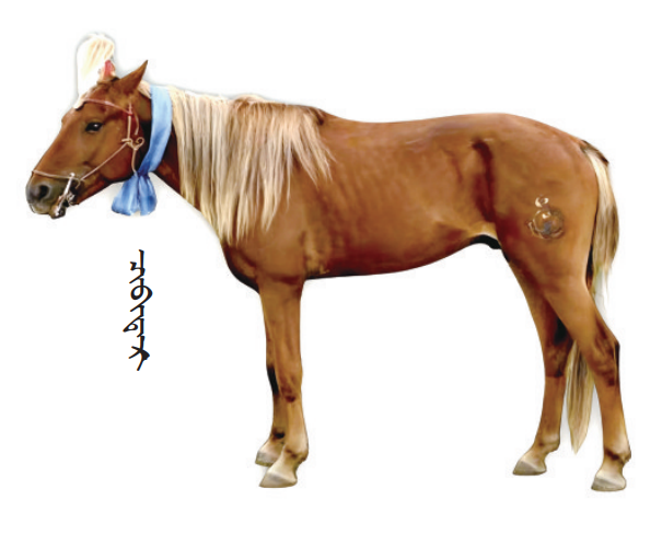 QQ截图20260207120729.png QQ截图20260207120729.png