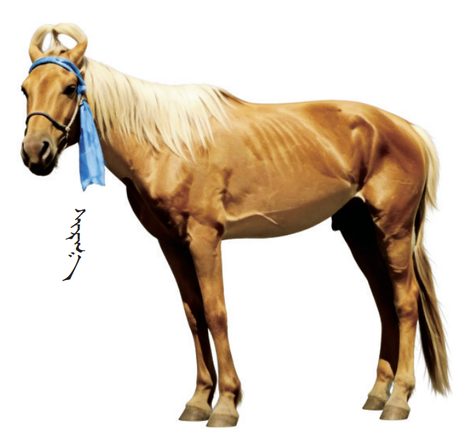 QQ截图20260207153839.png QQ截图20260207153839.png